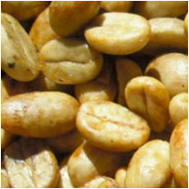 コーヒー生豆 Malabar Malabar RI（Yellow Honey）4kg真空パック